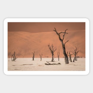 Dead Vlei Sticker